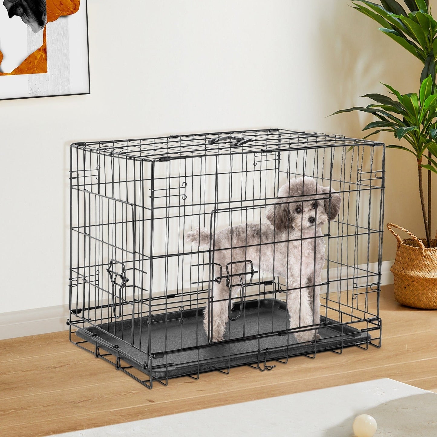 Folding Wire Dog Crate with Divider - Single & Double Door Options, Leak-Proof Plastic Tray, Indoor Outdoor Travel Kennel for Small Medium Large Dogs, 24" / 30" / 36" Sizes