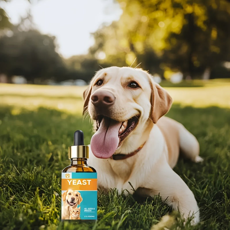 Dog Antifungal Yeast Supplement Drops – All Breed Canine Yeast Overgrowth Support | Natural Liquid Formula, 2.03oz per Bottle, 2-Pack Value Set for Daily Pet Health