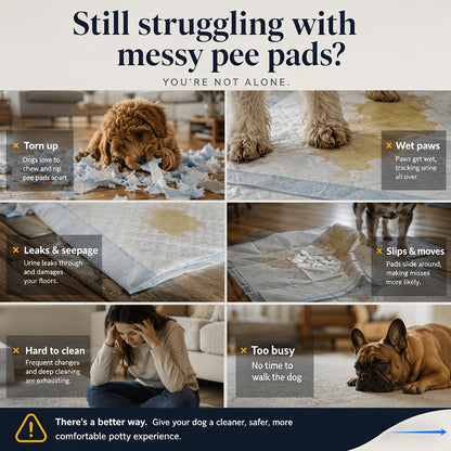 Indoor Dog Potty Tray with Removable Grating - Leak-Proof Puppy Training Toilet, Washable Pee Pad Holder for Apartments, Easy Clean Dog Bathroom, 7 Colors, Small & Large Sizes