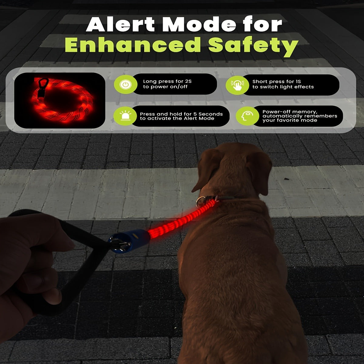 LED Dog Leash 4FT Light Up with 13 Lighting Modes & Tangle-Free Hook, Rechargeable Glow in the Dark Night Walking Leash for Small Medium Large Dogs, USB Rechargeable Pet Safety Leash