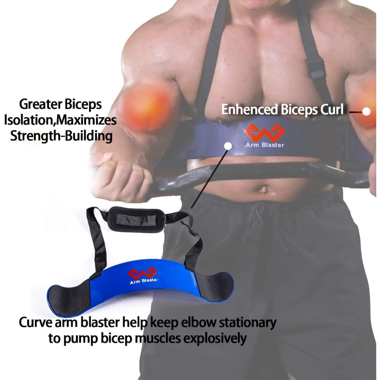 Adjustable Arm Blaster – Bicep Isolator for Barbell & Dumbbell
