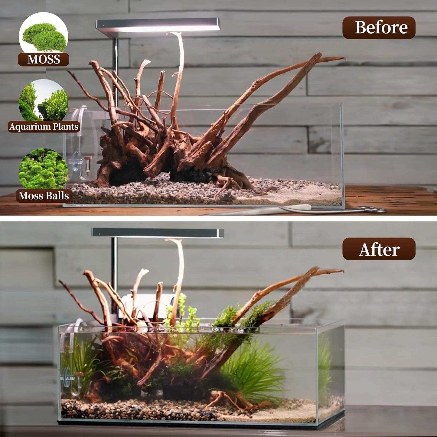 Natural Driftwood for Aquarium Reptile Terrarium – 5-Pack Assorted Branches Decoration for Freshwater & Saltwater Fish Tanks, Reptile Habitats, Spider Enclosures & Shrimp Tanks