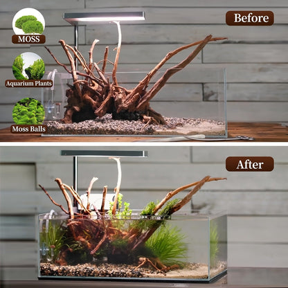 Natural Driftwood for Aquarium Reptile Terrarium – 5-Pack Assorted Branches Decoration for Freshwater & Saltwater Fish Tanks, Reptile Habitats, Spider Enclosures & Shrimp Tanks