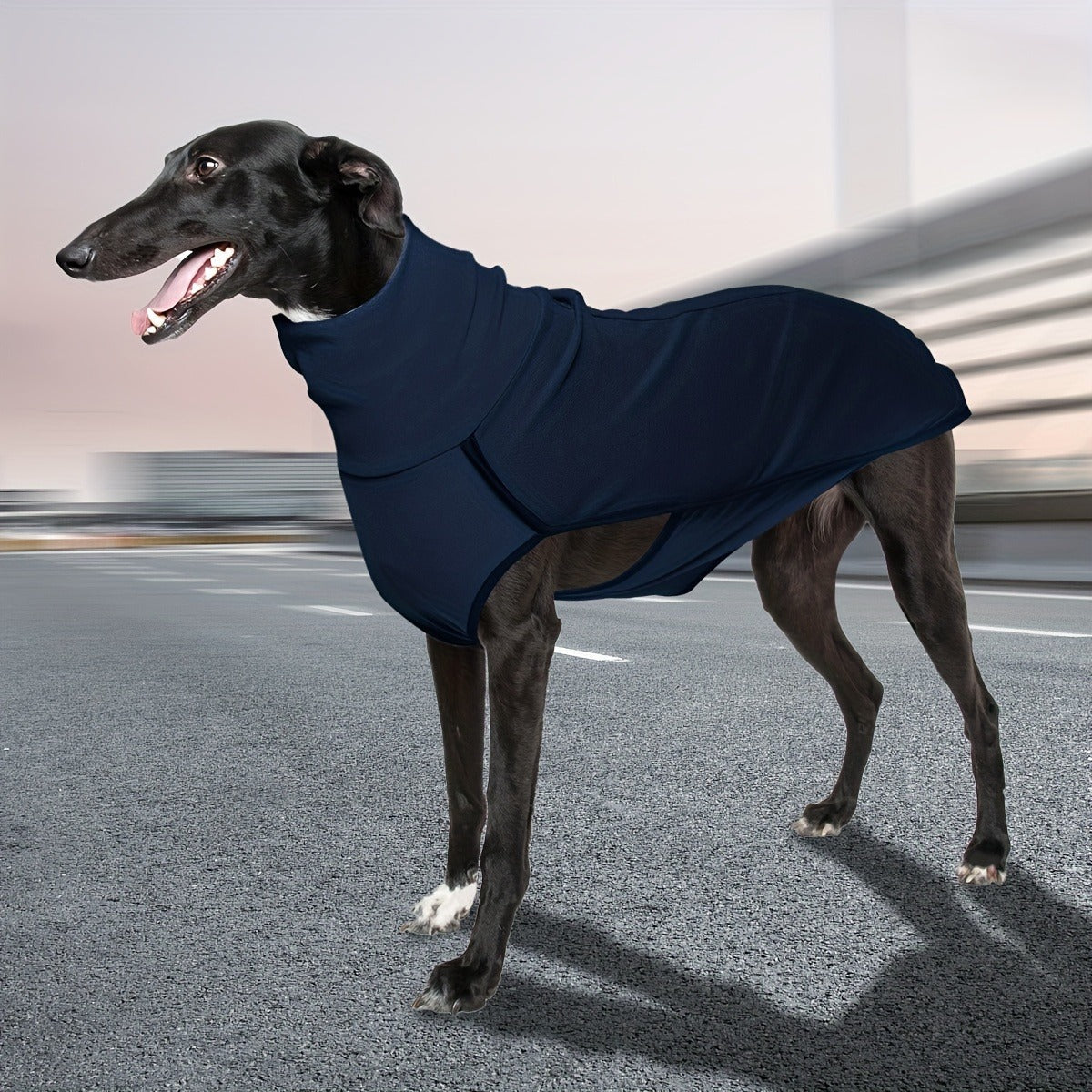 High Neck Dog Coat Warm Pullover – Solid Color Woven Polyester Pet Jacket, Machine Washable, All-Season Fall & Winter Dog Apparel for Small Medium Large Breeds, Colors: Burgundy, Navy, Green, Sizes XL–4XL
