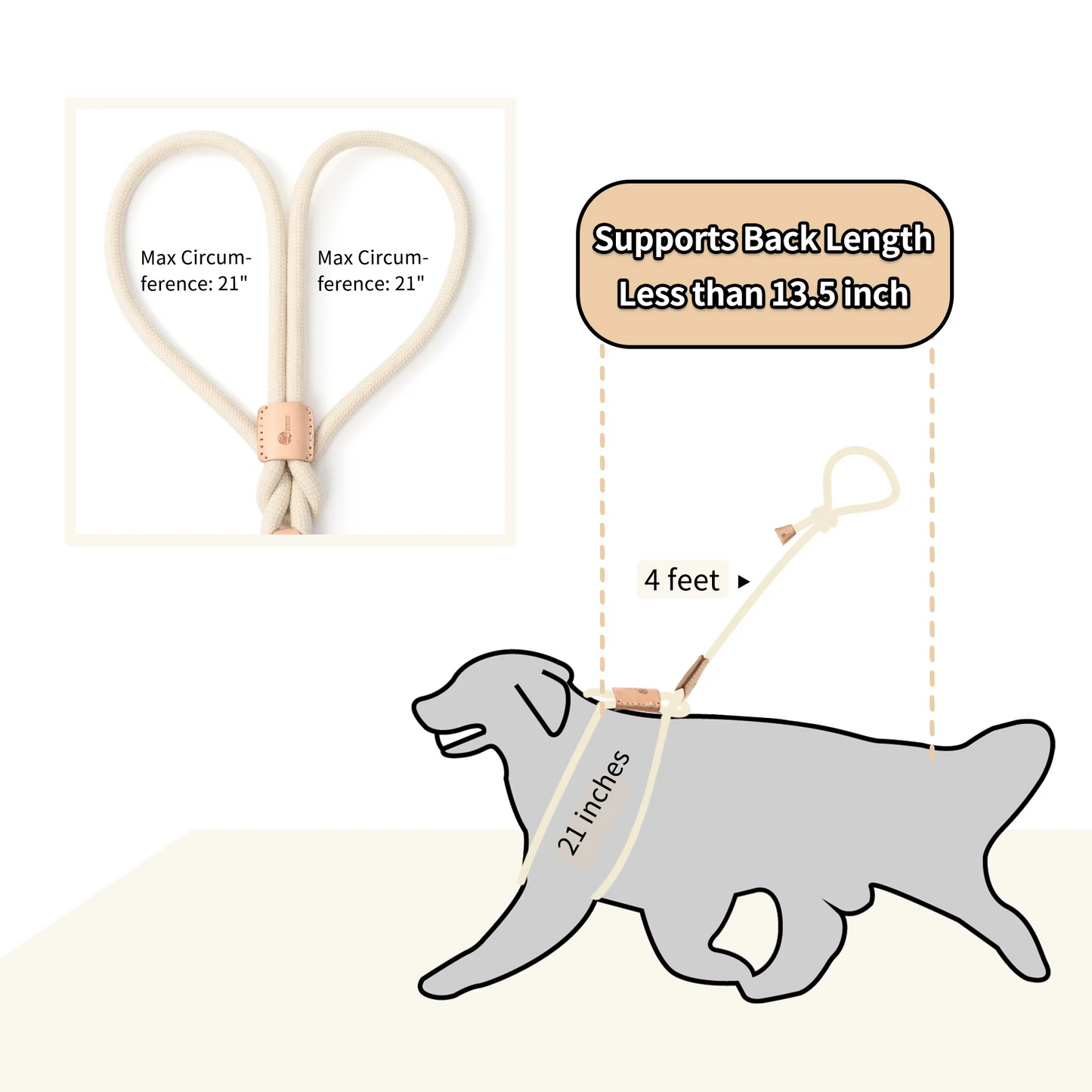 Dog Slip Leash and Harness 2-in-1 Rope Lead - No Pull All-in-One Training Leash for Puppies & Small Dogs, Adjustable Slip Lead with Soft Rope, Secure Control for Walking & Training