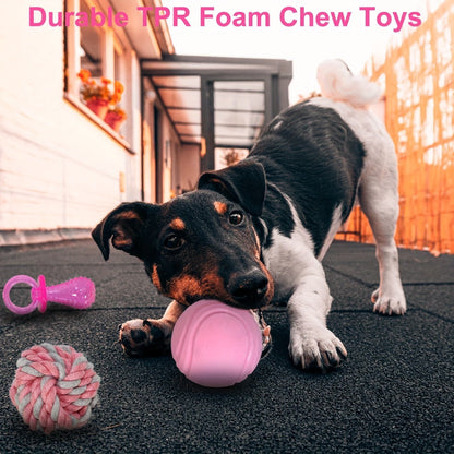 Puppy Teething Chew Toys Pink Bundle 5 or 8 Pack Soft Dog Toothbrush Toy & Interactive Chew Balls for Small Dogs - Cute Puppy Toy Set for Teething Relief & Dental Care