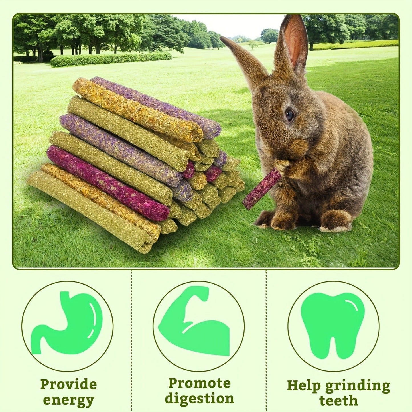 Timothy Hay Sticks 66pcs – Natural Handmade Chew Toys & Treats for Rabbits, Guinea Pigs, Hamsters, Chinchillas, Rats & Gerbils – Dental Health Chews for Small Pets