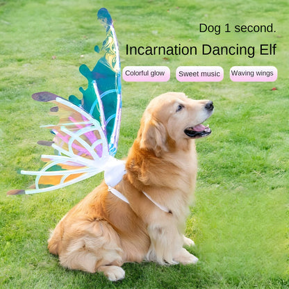 LED Light-Up Butterfly Angel Wings Costume for Dogs, Girls & Women – Multi-Color Illuminated Wings for Halloween, Christmas, Carnival, Cosplay & Themed Pet Parties, One Size Fits Most