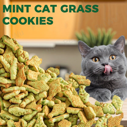 Catnip Cat Treats 150g – Catnip Cookie & Catgrass Molar Stick, Dried Fish Snack for Cats, Teeth Cleaning Dental Chew, Hairball Control Nutrition Fattening Cat Snack