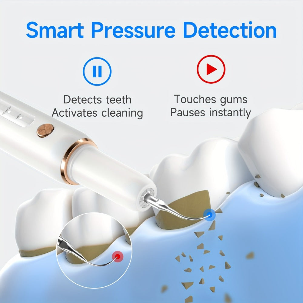 Ultrasonic Tartar Remover Electric Tooth Cleaner 5-Speed IPX6 Waterproof USB Rechargeable Dental Scaler with LED Light Mirror 2 Tips Plaque Stain Removal Tool for Home Oral Care Adults