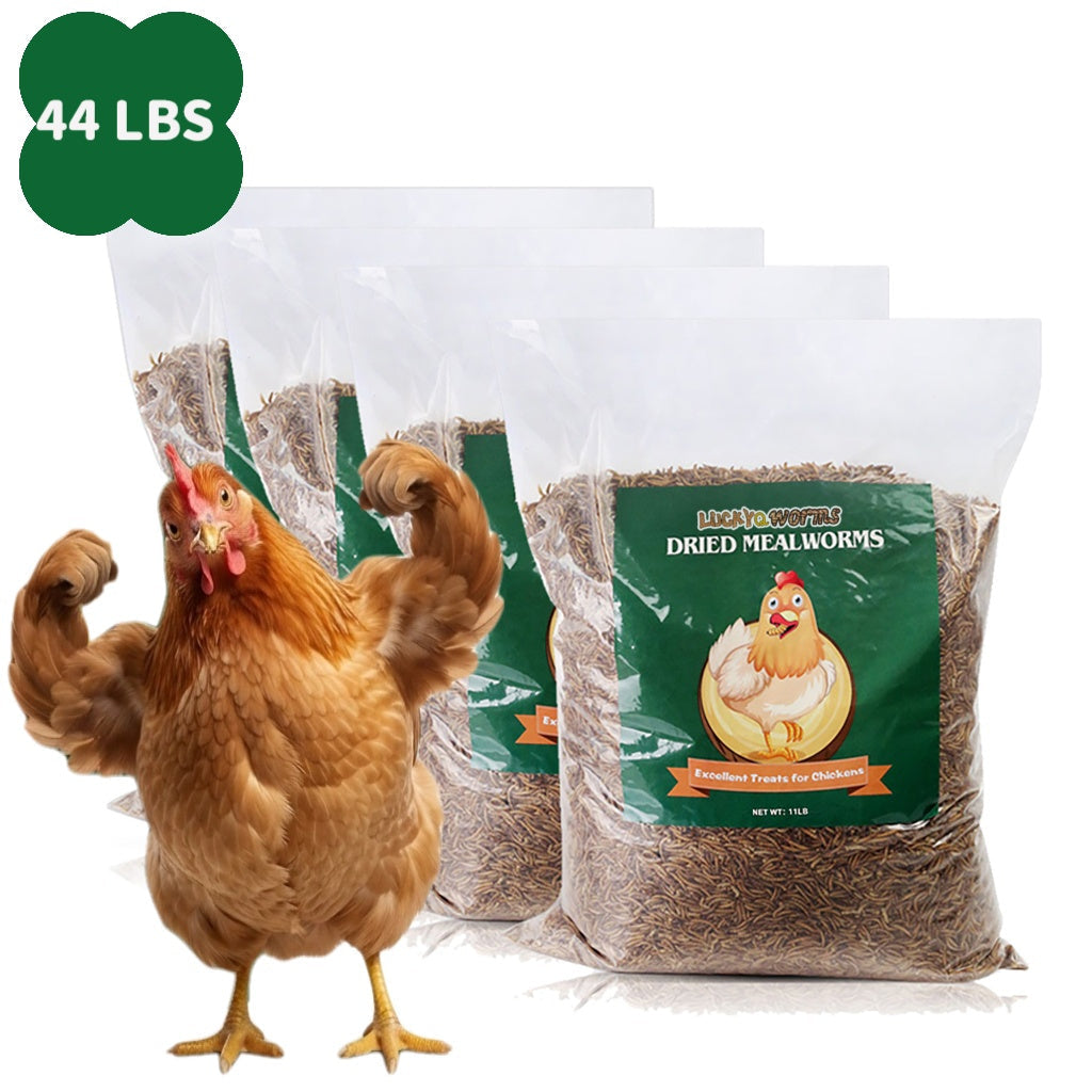 Dried Mealworms High Protein Animal Feed – Natural Insect Treats for Chickens Wild Birds Hens Ducks Turtles Fish Lizards Hamsters, Non-GMO Dried Larvae Pet Food Supplement, 0.6LB to 44LB