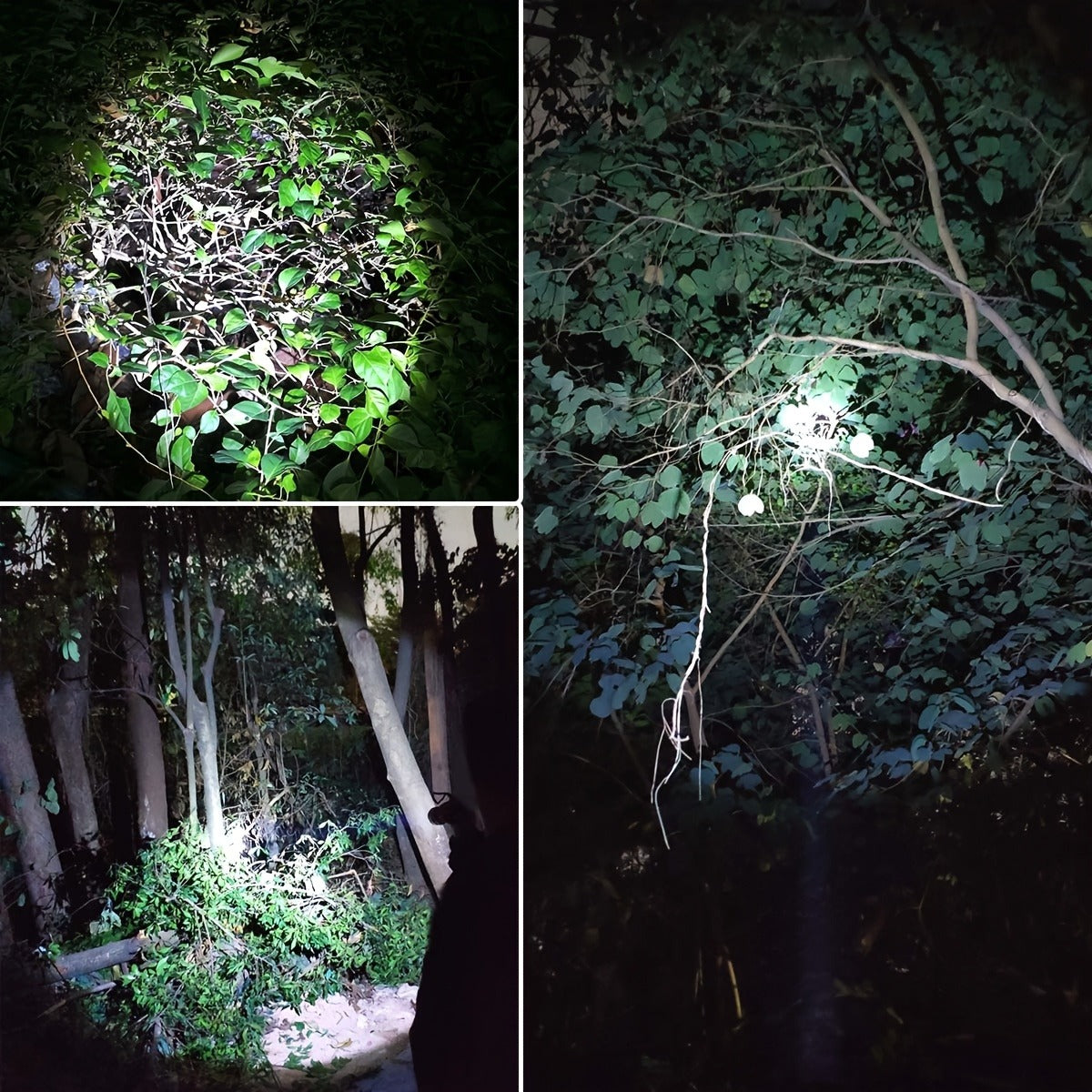 Night Hunting Flashlight with Remote Control Switch – 350 Yards High Power Green Red White Light, 18650 Rechargeable, Multiple Mounts for Hunting, Fishing, Camping & Beekeeping, Best Gift for Men