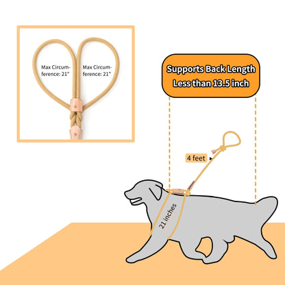 Dog Slip Leash and Harness 2-in-1 Rope Lead - No Pull All-in-One Training Leash for Puppies & Small Dogs, Adjustable Slip Lead with Soft Rope, Secure Control for Walking & Training
