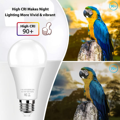 Outdoor Light Bulbs Dusk to Dawn, A19 E26 LED Sensor Bulb 9W 60W Equivalent 800LM 5000K Daylight White, Auto On Off Photocell Smart Sensor, for Porch Garage Yard Entryway Indoor Outdoor Lighting