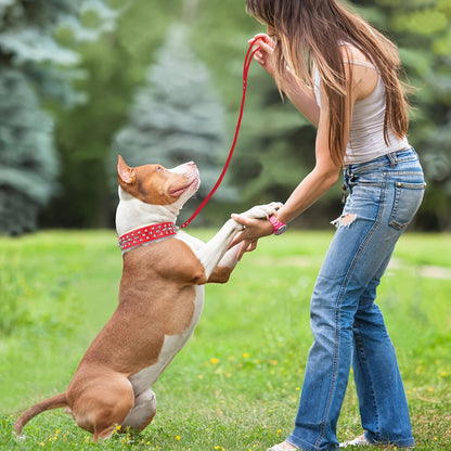 Rivet Dog Collar Bite Resistant with Leash Set, Heavy Duty Metal Buckle Pet Collar for Medium Large Dogs, Adjustable Sizes XS–XXL, Black Pink Red Blue Purple