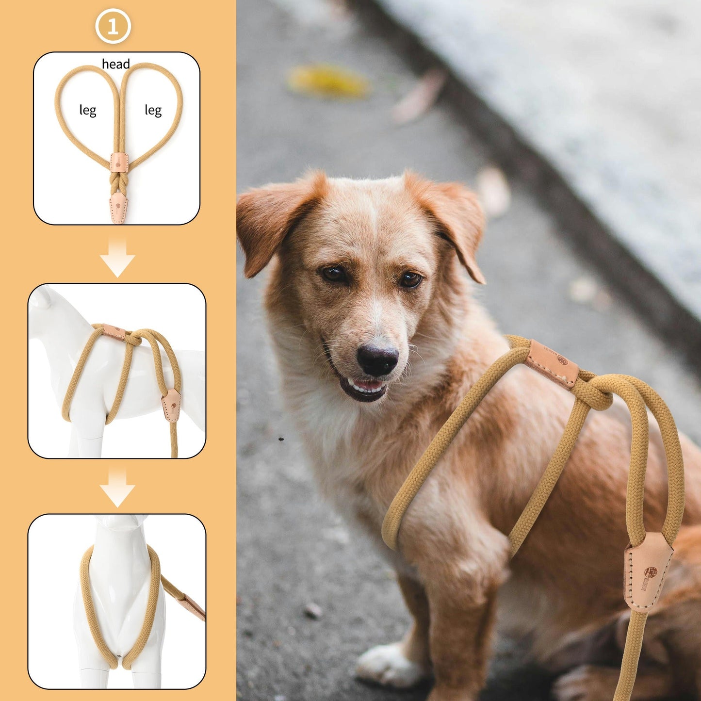 Dog Slip Leash and Harness 2-in-1 Rope Lead - No Pull All-in-One Training Leash for Puppies & Small Dogs, Adjustable Slip Lead with Soft Rope, Secure Control for Walking & Training
