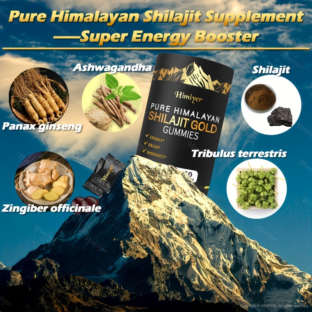 Shilajit Supplement 3000mg with Ginger, Ginseng & Ashwagandha — Pure Fulvic Acid & Multi-Mineral Phytonutrient Formula for Energy, Vitality, Strength & Whole-Body Wellness | 1-3 Bottle Options