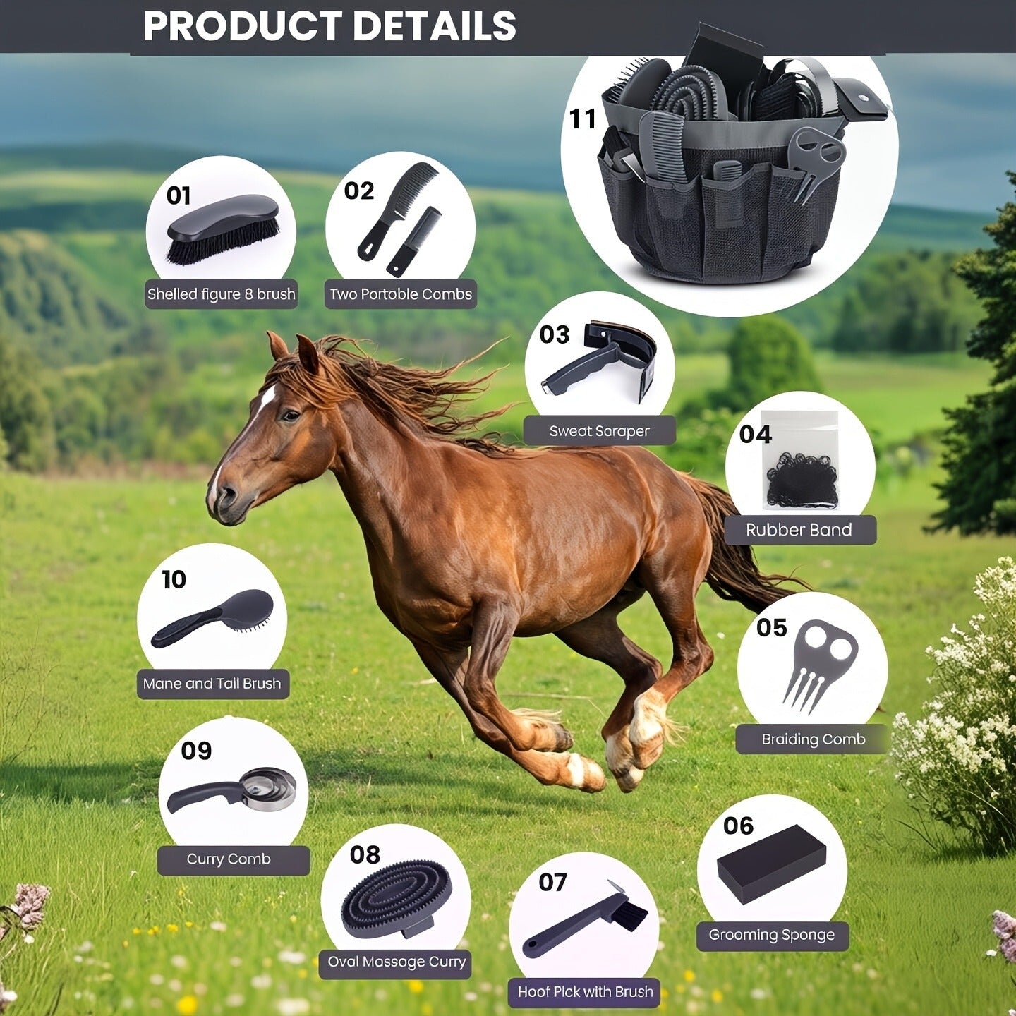 Horse Grooming Kit 11-Piece Set with Storage Bag – Complete Beginner & Daily Care Set with Curry Comb, Reversible Brush & Braiding Tools | SEAOTTER Professional Equine Grooming Supplies, Black
