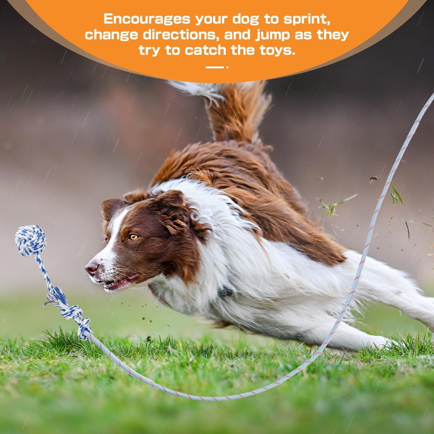 Dog Flirt Pole Telescopic - Extendable Flirt Stick with 3 Detachable Toys & Nylon Rope, Aluminum Alloy Dog Chase Toy for Small Medium Large Dogs, Agility Training Exercise & Interactive Play Tool