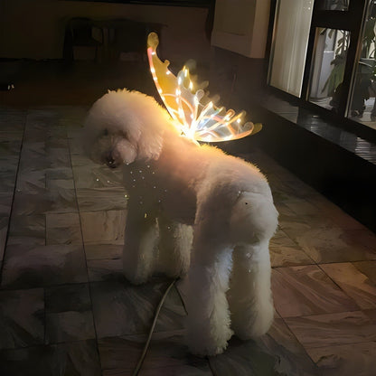 LED Light-Up Butterfly Angel Wings Costume for Dogs, Girls & Women – Multi-Color Illuminated Wings for Halloween, Christmas, Carnival, Cosplay & Themed Pet Parties, One Size Fits Most