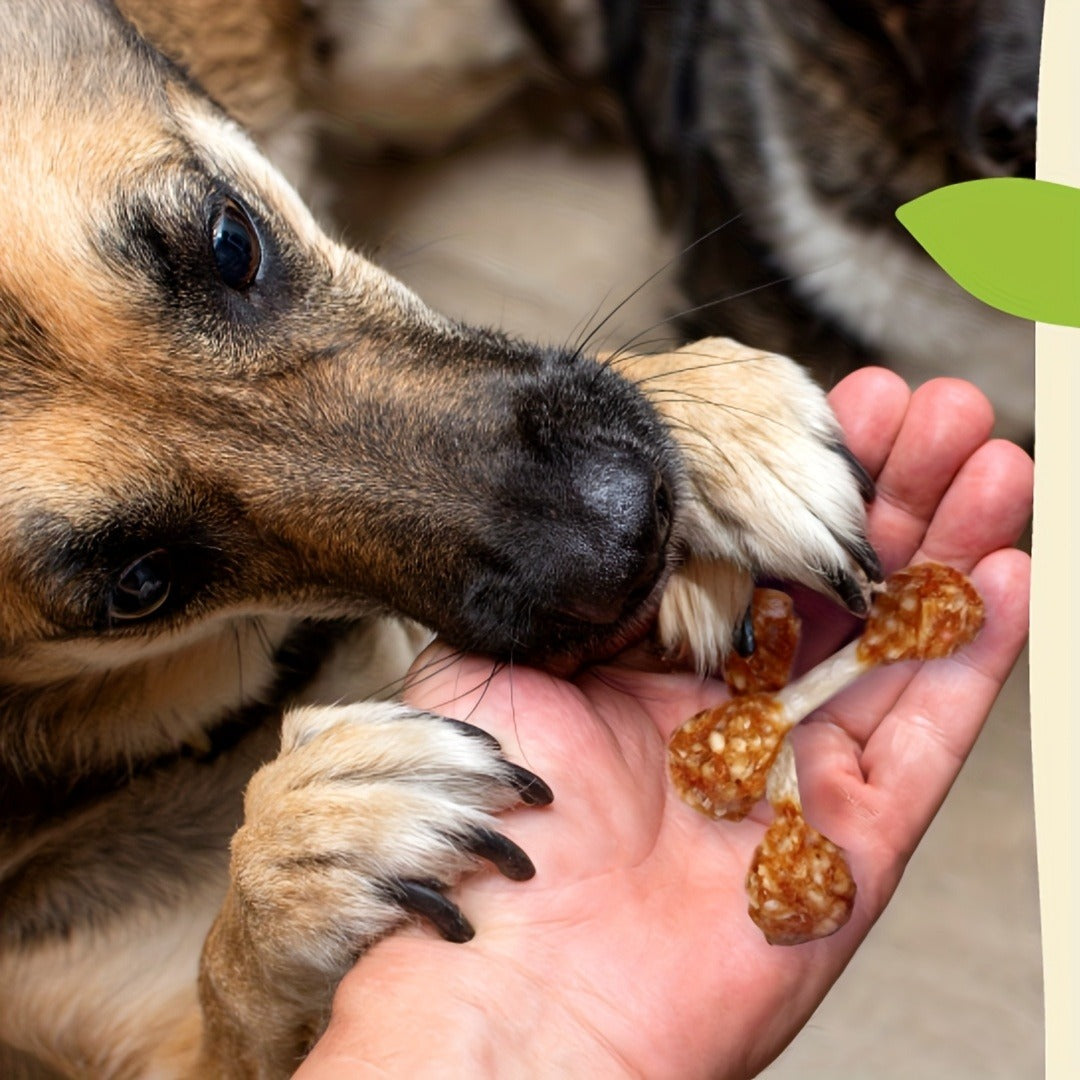 Chicken Dog Training Treats Dumbbell Shape – Natural High Protein Reward Snacks for Small Medium Large Dogs, Rice & Chicken Flavor, Long-Lasting Chew