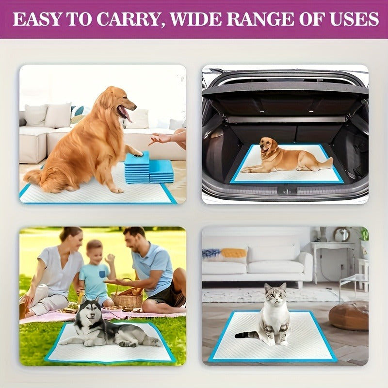 Puppy Pee Pads XXL 30x36 Inch 40 Count – 6-Layer Thickened Heavy Absorbent Disposable Dog Training Pads with Polymer Leak-Proof & Quick-Dry Technology for Dogs, Cats & Rabbits
