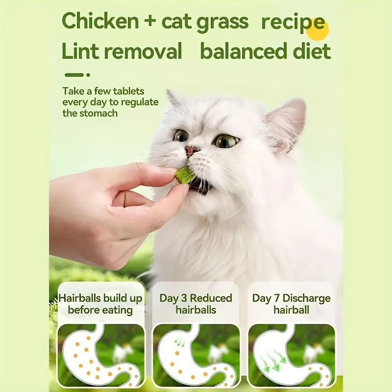 Cat Grass Pellets Freeze-Dried 150g – Mint Flavor Hairball Control Granules, Natural Chewing & Teeth Grinding Snack for Cats, Digestive Support Cat Treat (5.29oz)
