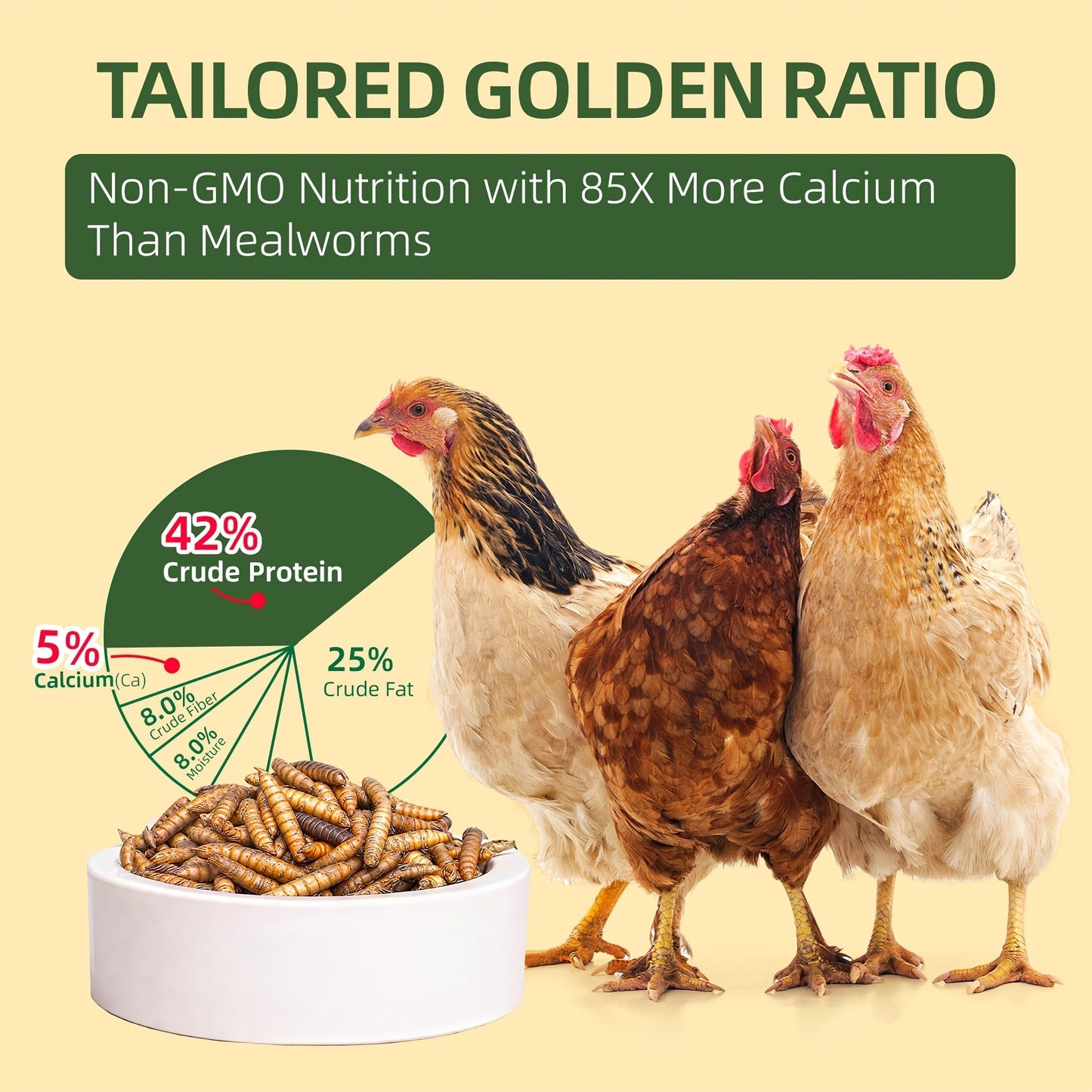 Dried Black Soldier Fly Larvae for Chickens - High Protein BSF Larvae Treats with Calcium for Laying Hens Ducks Quail Birds Reptiles Non-GMO Natural