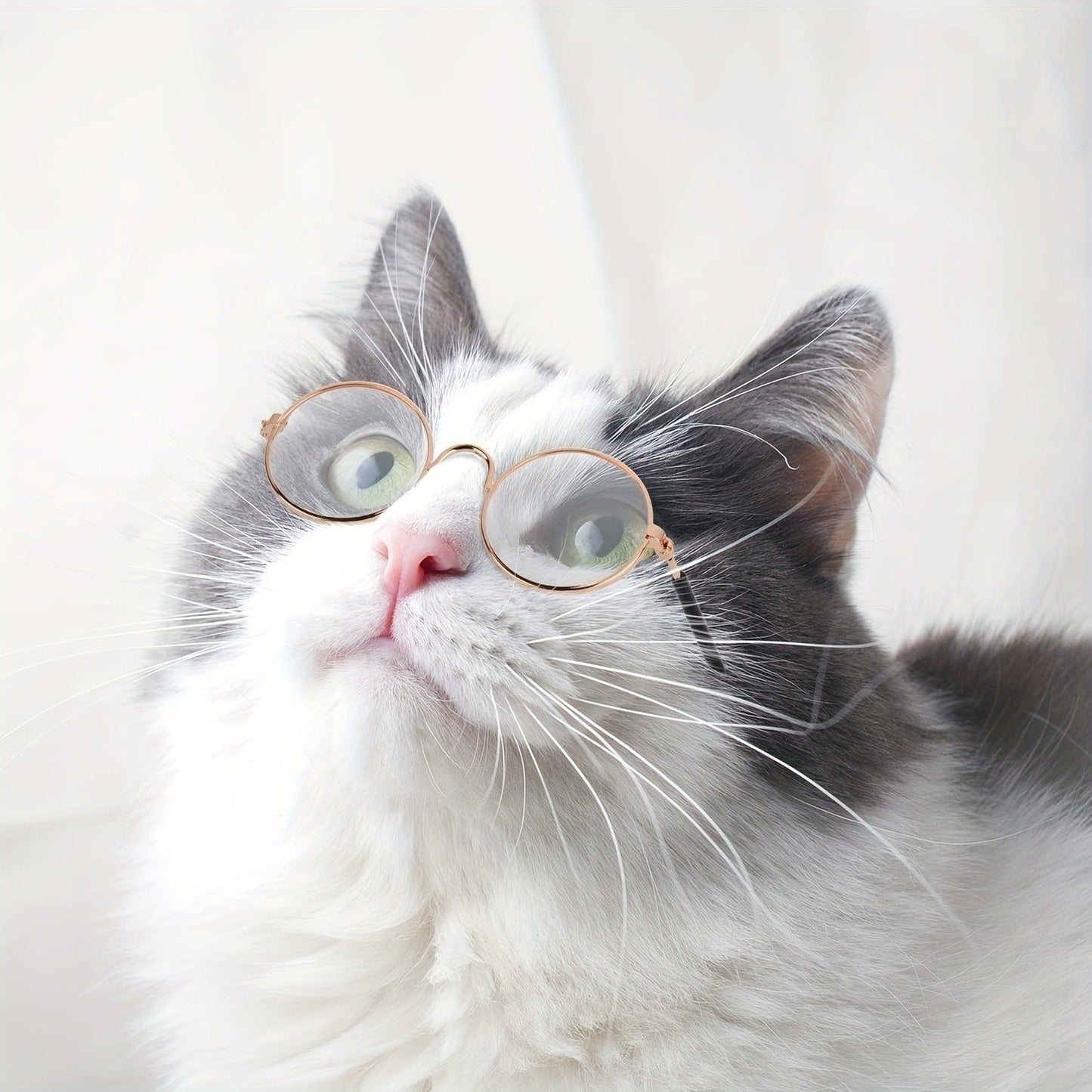 Pet Sunglasses 10-Pack Round Metal Retro Shades for Cats & Dogs – Assorted Colors Classic Hippie Glasses for Cosplay, Parties & Photo Props, Fun Pet Costume Accessory