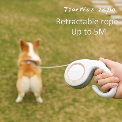 Retractable Dog Leash 16Ft – 360° Tangle-Free with One-Key Lock & Ergonomic C-Shaped Handle | M & L | 3 Colors