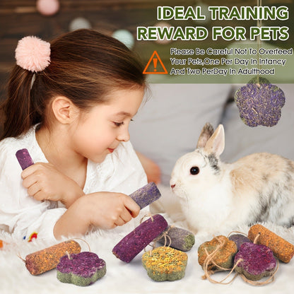 Rabbit Chew Sticks 24 PCS - Timothy Hay Molar Snack Toy with Carrot & Strawberry Flavors for Bunnies, Chinchillas, Guinea Pigs, Hamsters & Small Pets, Hanging Chew Cakes Included