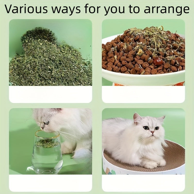 Natural Cat Treats 100g - Dried Herb Snacks for Cats to Aid Digestion, Reduce Hairballs & Stress, Promote Oral Health and Stimulate Natural Instincts