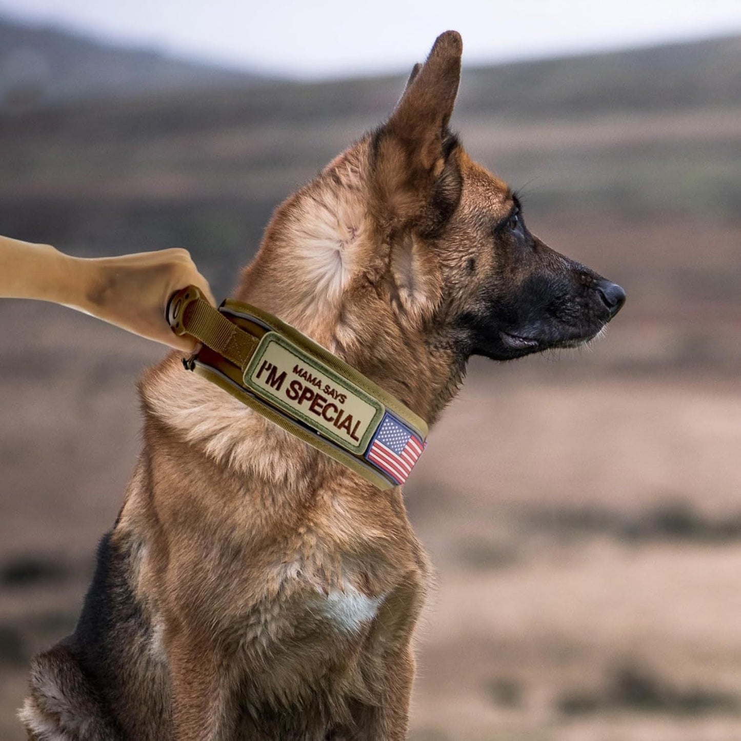 Tactical Dog Collar with Handle & Reflective Stitching – 2.6" Heavy Duty Nylon Collar for Medium & Large Dogs | M, L, XL