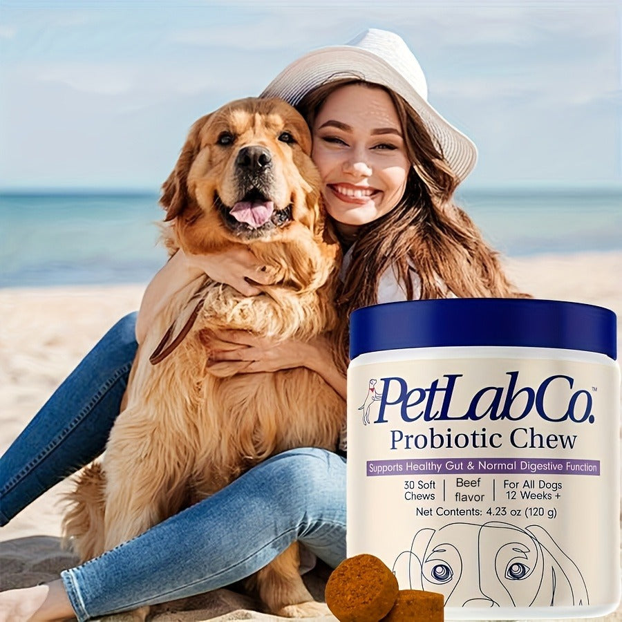Dog Probiotic & Prebiotic Chewable Treats with Natural Ingredients - Supports Gut Health & Quality of Life for All Breeds, Daily Wellness Soft Chews for Dogs, 1pc & 3pc Value Pack