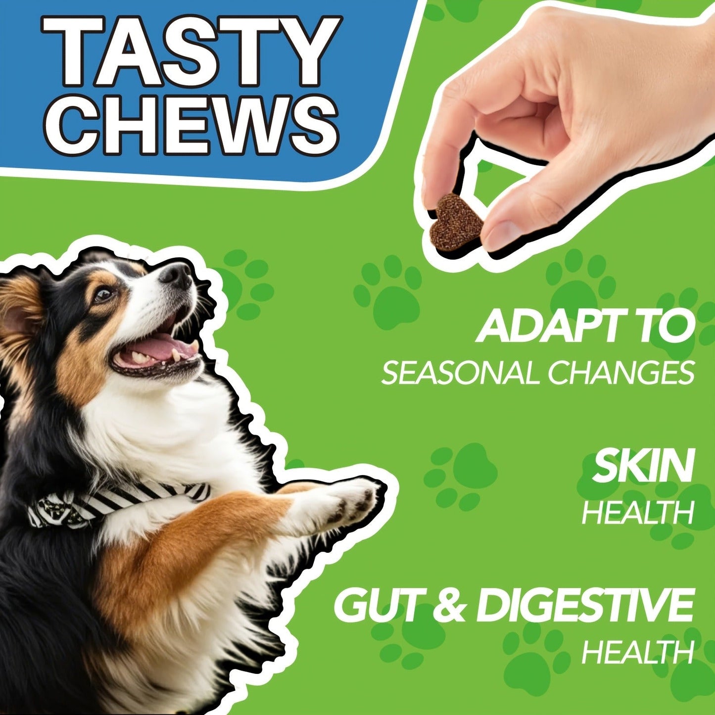 Dog Skin & Immune Probiotic Chews with Bovine Colostrum - 6 Billion CFUs, Dried Fermentate & Astragalus for Skin Calm & Immune Support, Chicken Flavor Soft Chews for All Dogs, 90 Count