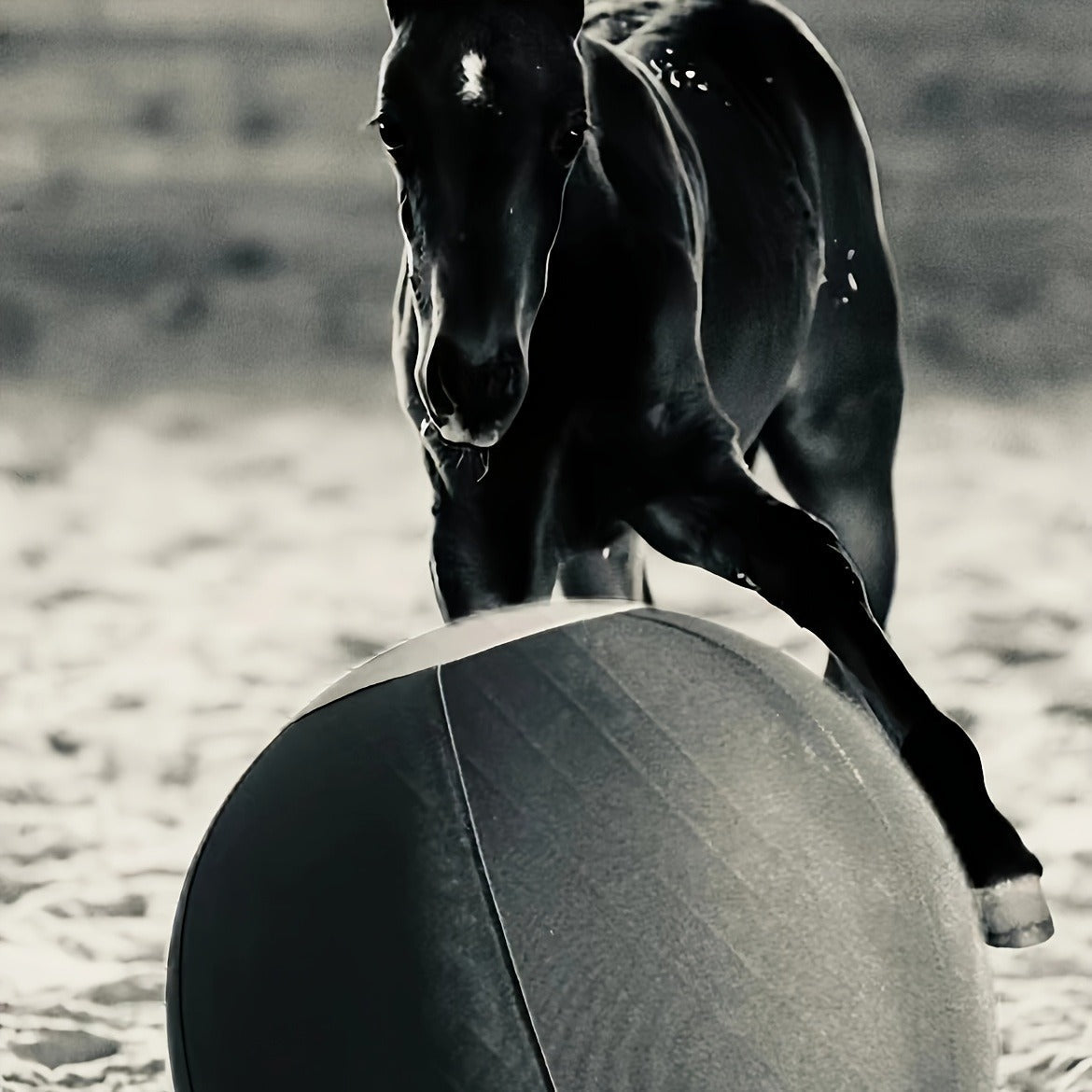 Horse Training Ball 21.7" Anti-Burst Silicone Grazing Ball with Cover & Hanging Belt for Horses Goats Dogs, Large Stable Toy Boredom Buster Ball for Equine Play & Exercise, Blue & Orange