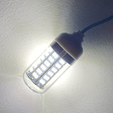 White Light
