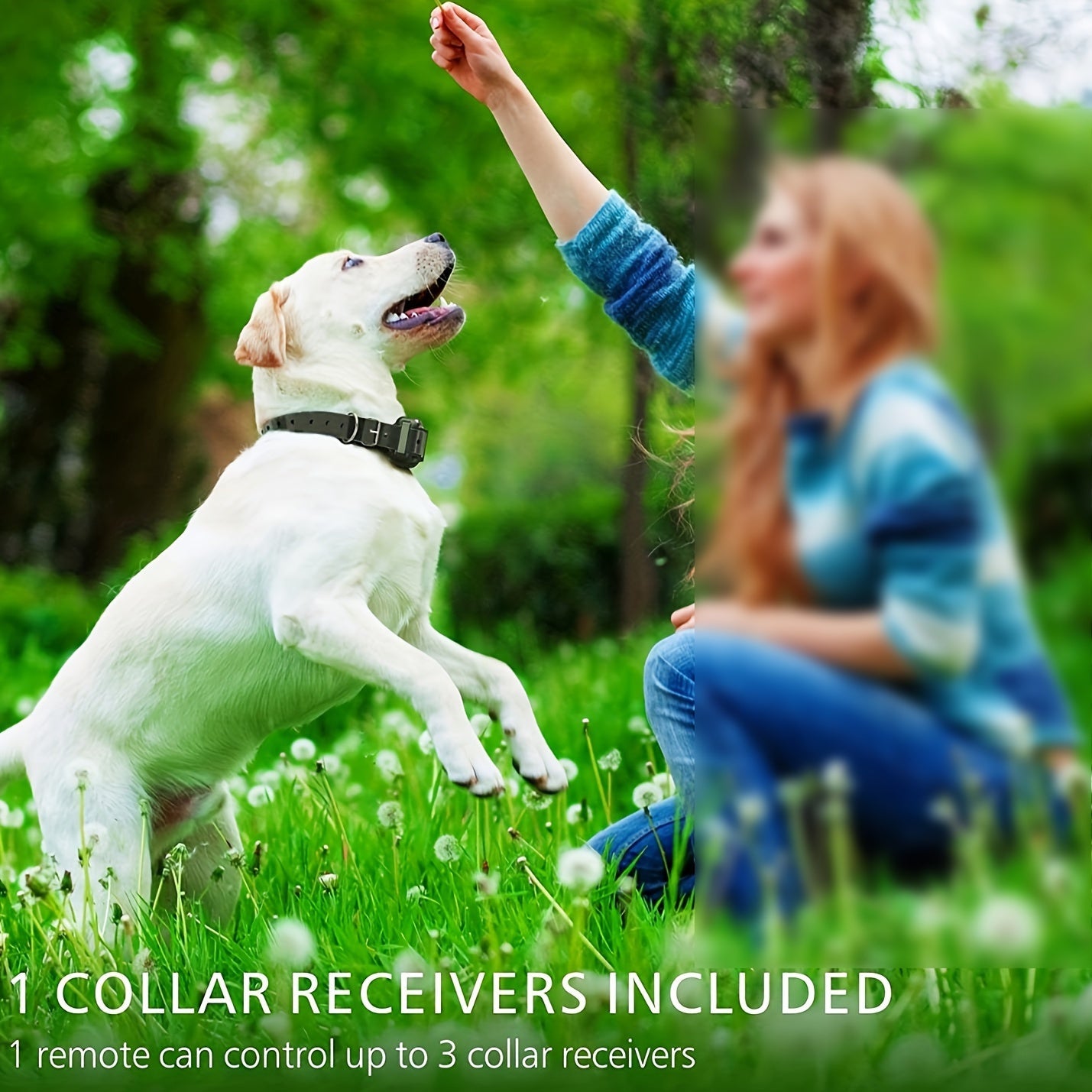 Remote Dog Training Collar with 3 Modes - Vibration, Sound & Static, Adjustable Nylon Strap, Rechargeable E-Collar for Small Medium Large Dogs - Safe & Effective Behavior Correction Tool