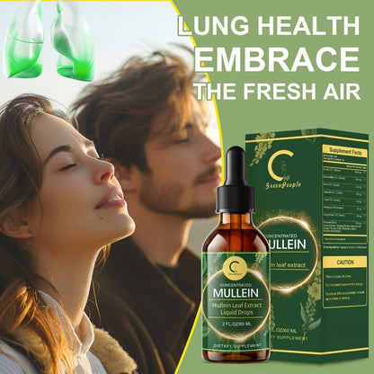 Mullein Leaf Liquid Tincture for Lung & Respiratory Health — Fast-Absorbing Herbal Drops for Breathing Support, Immune Defense & Digestive Wellness | Natural Extract | 2 fl oz