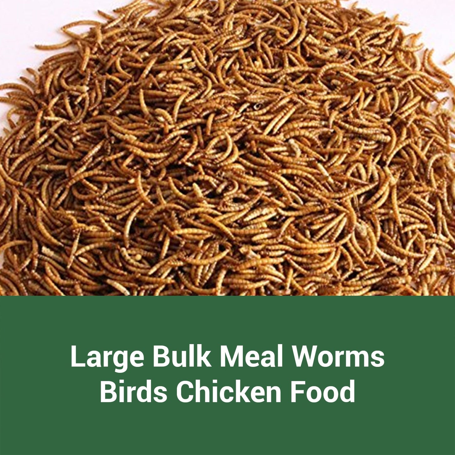 Dried Mealworms High Protein Animal Feed – Natural Insect Treats for Chickens Wild Birds Hens Ducks Turtles Fish Lizards Hamsters, Non-GMO Dried Larvae Pet Food Supplement, 0.6LB to 44LB