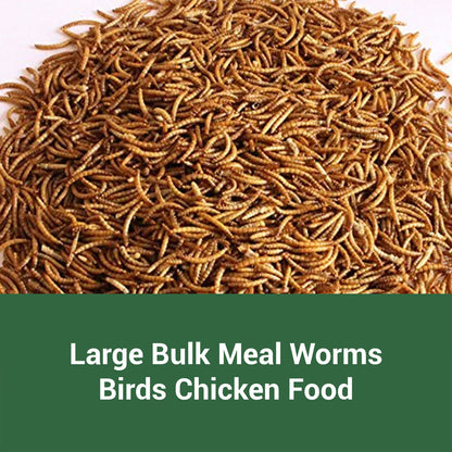 Dried Mealworms High Protein Animal Feed – Natural Insect Treats for Chickens Wild Birds Hens Ducks Turtles Fish Lizards Hamsters, Non-GMO Dried Larvae Pet Food Supplement, 0.6LB to 44LB
