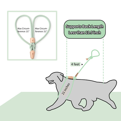 Dog Slip Leash and Harness 2-in-1 Rope Lead - No Pull All-in-One Training Leash for Puppies & Small Dogs, Adjustable Slip Lead with Soft Rope, Secure Control for Walking & Training