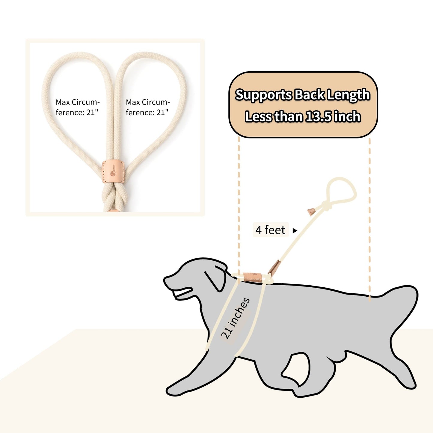 Dog Slip Leash and Harness 2-in-1 Rope Lead - No Pull All-in-One Training Leash for Puppies & Small Dogs, Adjustable Slip Lead with Soft Rope, Secure Control for Walking & Training