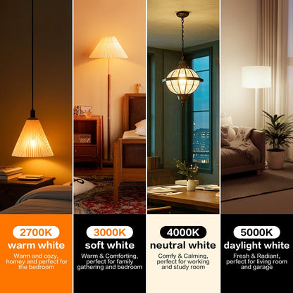 A19 LED Bulb 9W 800 Lumens 60W Equivalent 12 Pack – E26 Base 80+ CRI Non-Dimmable Energy Efficient, Daylight 5000K Neutral 4000K Soft 3000K Warm White 2700K for Bedroom Office Study Home Lighting