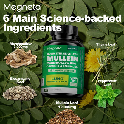 Mullein Leaf Lung Health Supplement with Quercetin, Bromelain, Vitamin C & D3, Zinc & Selenium – Herbal Respiratory & Bronchial Support Formula for Clear Breathing | 60 Capsules