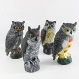 (11-inch Owl on the Right Side)