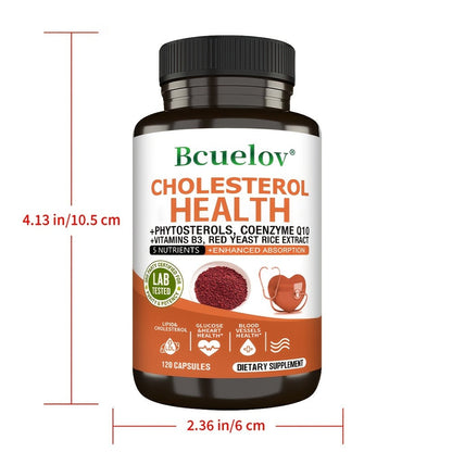Cholesterol Support Capsules with Phytosterols, CoQ10 & Red Yeast Rice Extract – Heart Health & Healthy Lipid Levels Supplement for Women & Men, 120 Capsules