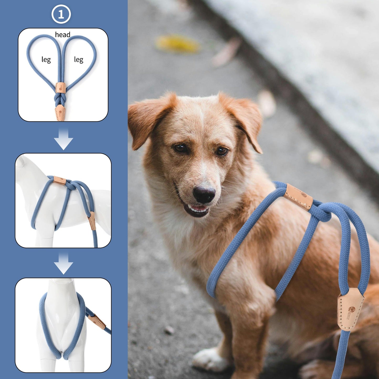 Dog Slip Leash and Harness 2-in-1 Rope Lead - No Pull All-in-One Training Leash for Puppies & Small Dogs, Adjustable Slip Lead with Soft Rope, Secure Control for Walking & Training