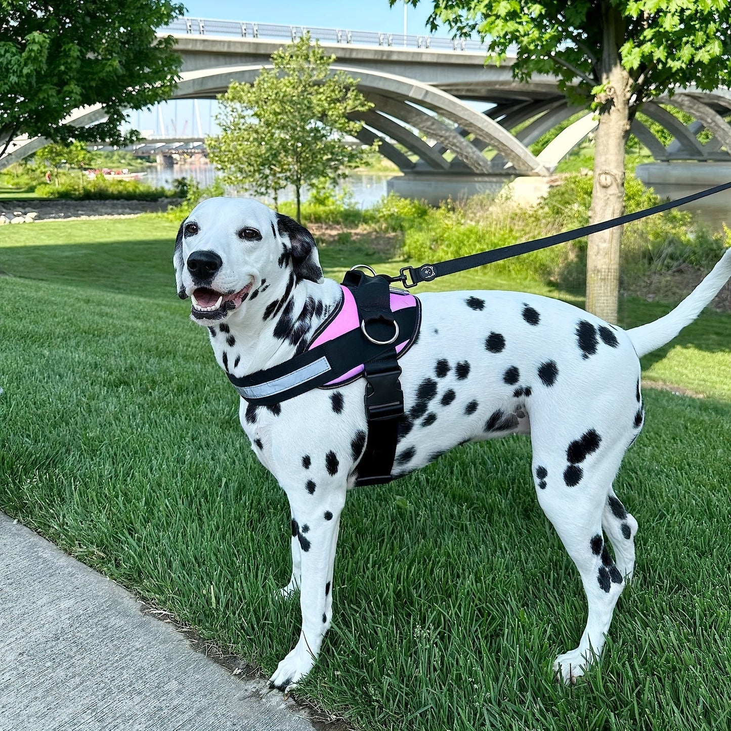 Breathable Reflective Dog Harness with Control Handle – Adjustable Outdoor Vest for Walking Running Hiking – XS to XXL