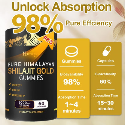 Shilajit 3000mg Supplement with Ginger Ginseng Ashwagandha Hoofgrass - 5-in-1 Adaptogen Complex for Energy Stamina Vitality & Stress Relief - Multi-Mineral Formula for Men & Women